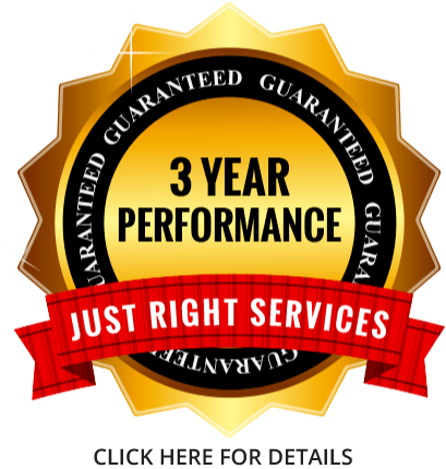 img of 3 year performance badge